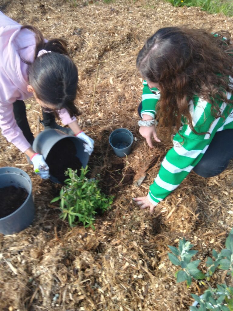 Un projet solidaire et empathique de plantations