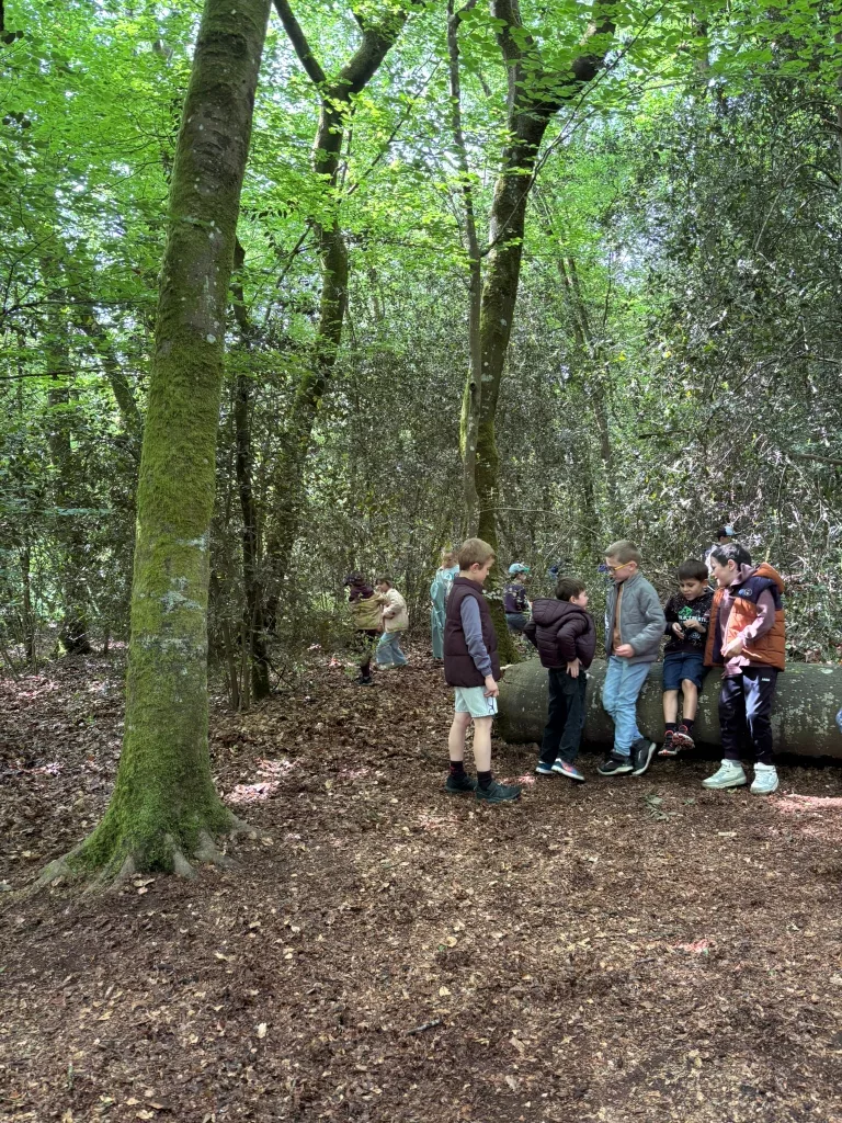 Notre première sortie “école du dehors”