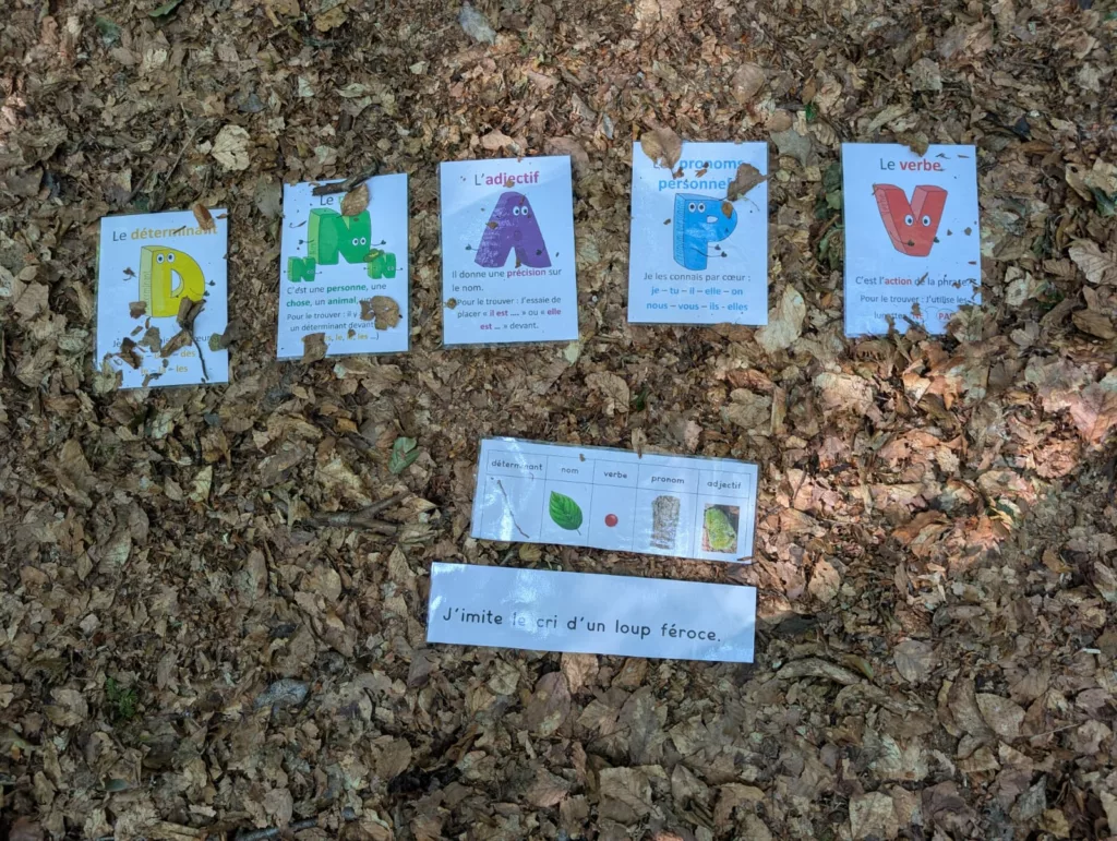 Séance de grammaire pour les CP en forêt