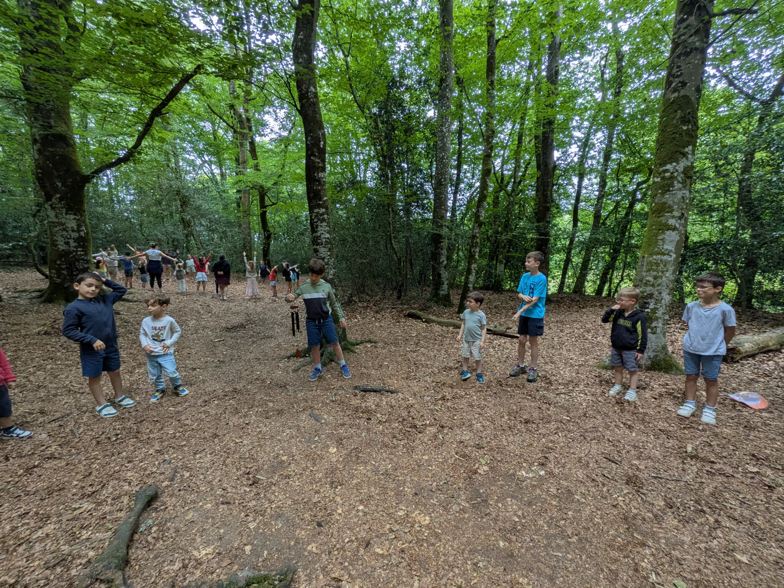 Quand la forêt devient la salle de classe pour les PS/MS et les CE2/CM1
